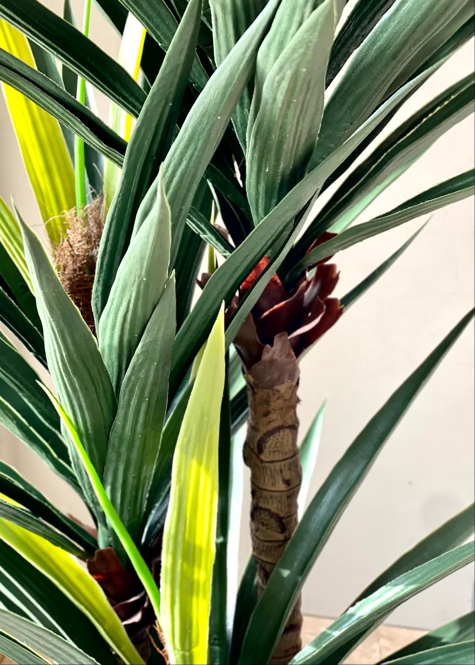Artificial Arlo Yucca Plant - (5 Feet)