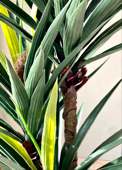 Artificial Arlo Yucca Plant - (5 Feet)