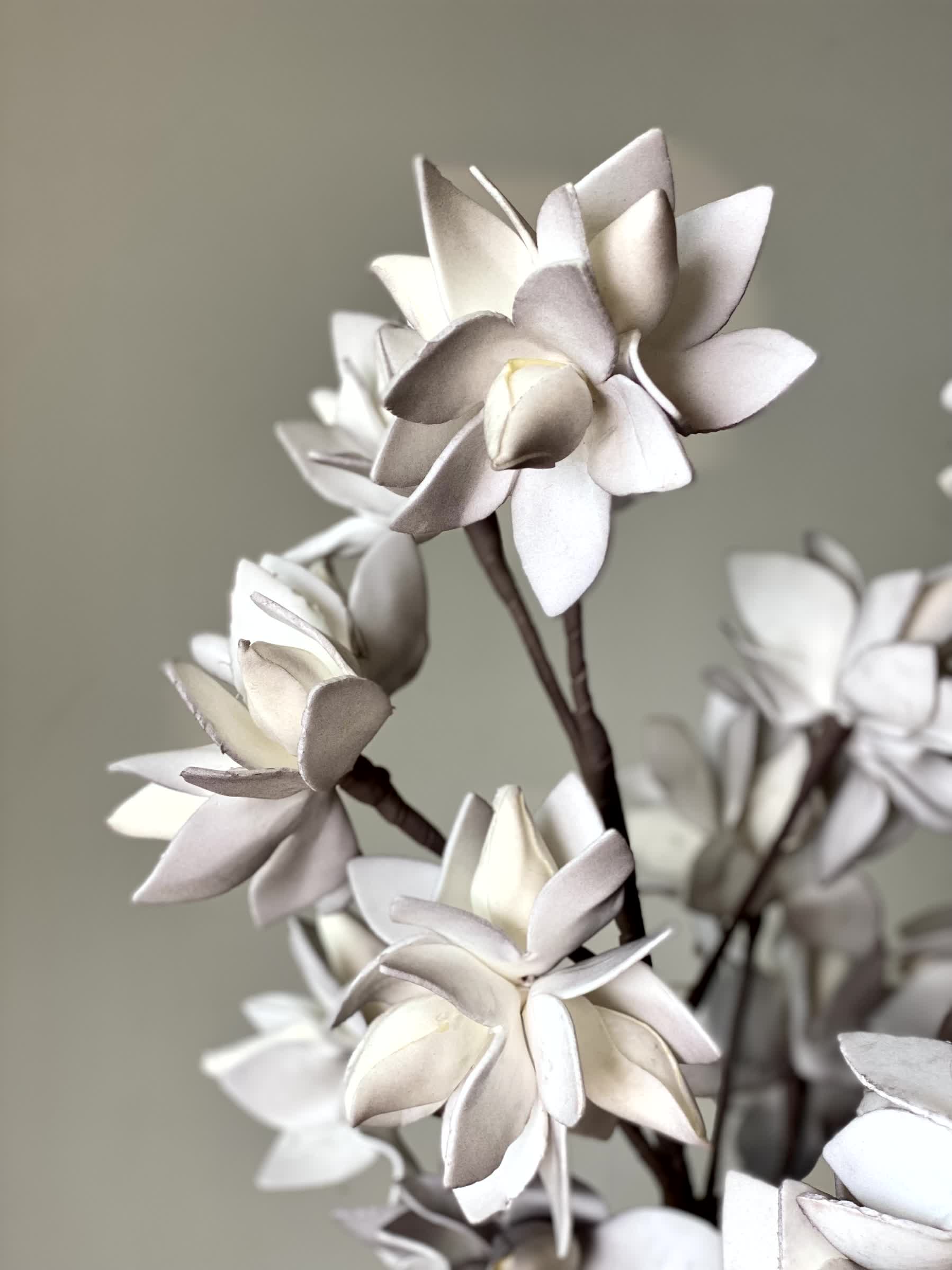 Artificial Magnolia Stem (One Stem) - Grey