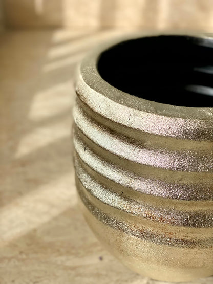 Eden Allura Planters: Medium