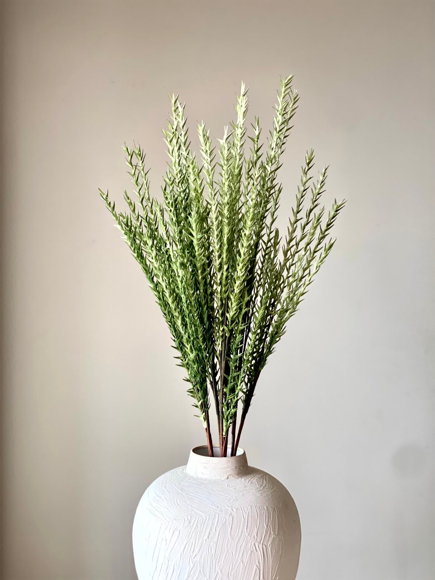 Artificial Pampas Grass (One Stem) - Green