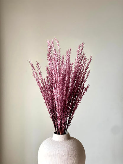 Artificial Pampas Grass (One Stem) - Maroon