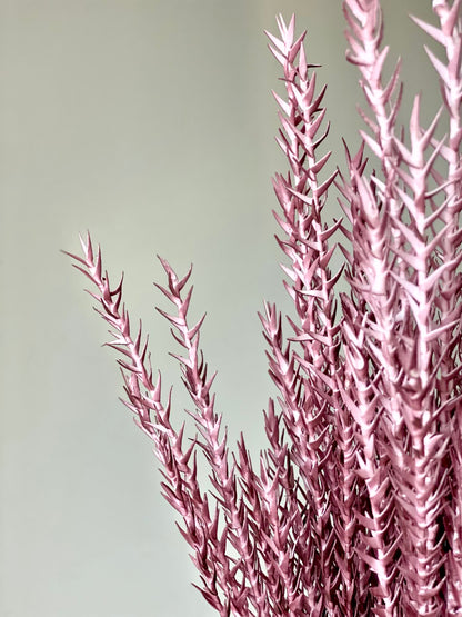 Artificial Pampas Grass (One Stem) - Maroon