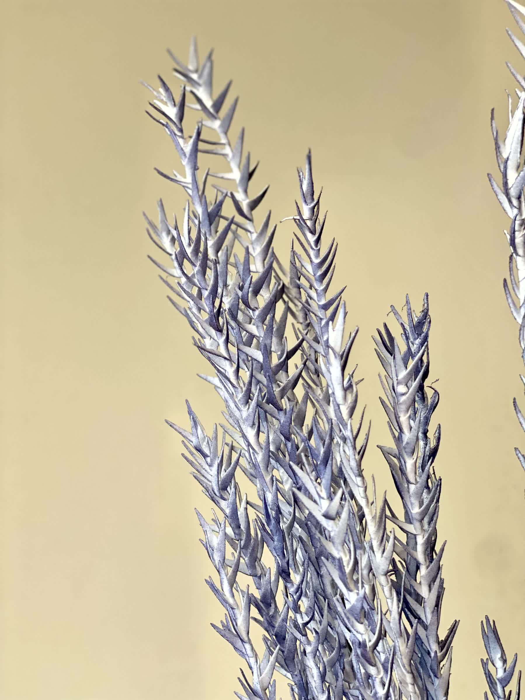 Artificial Pampas Grass (One Stem) - Blue