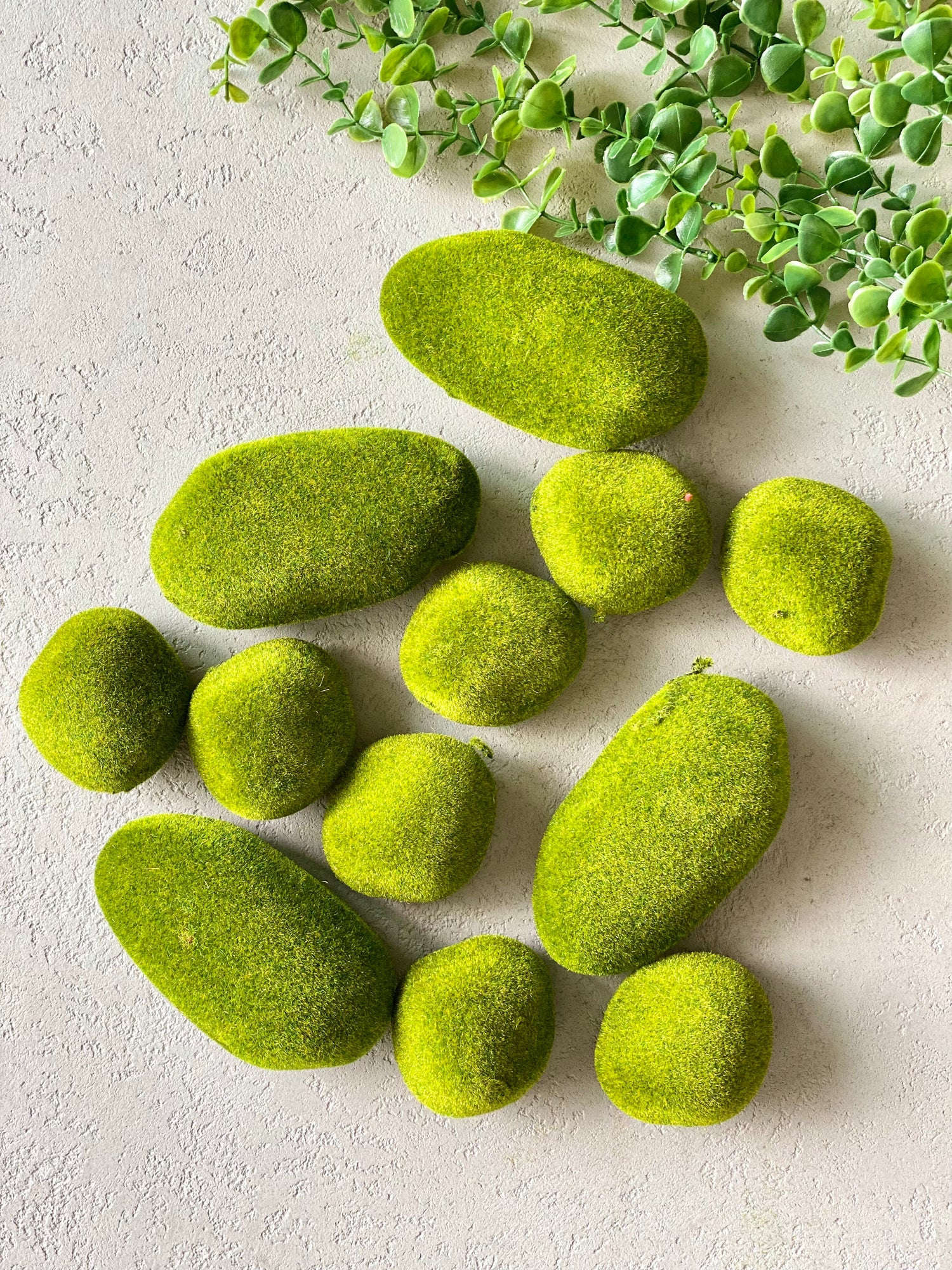 Moss Ball (Pack Of 12)