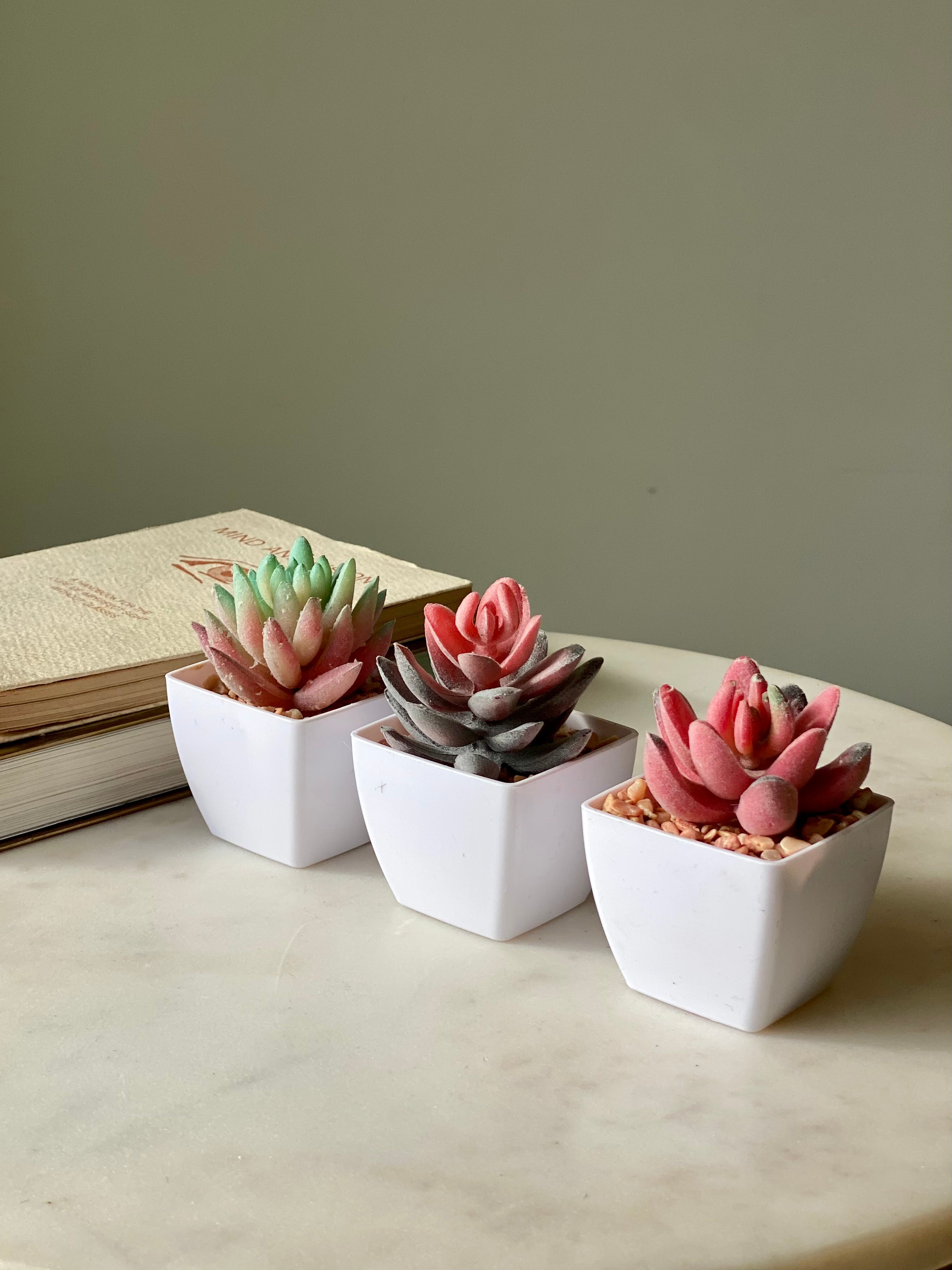 Artificial Echeveria Succulent (Set of 3)