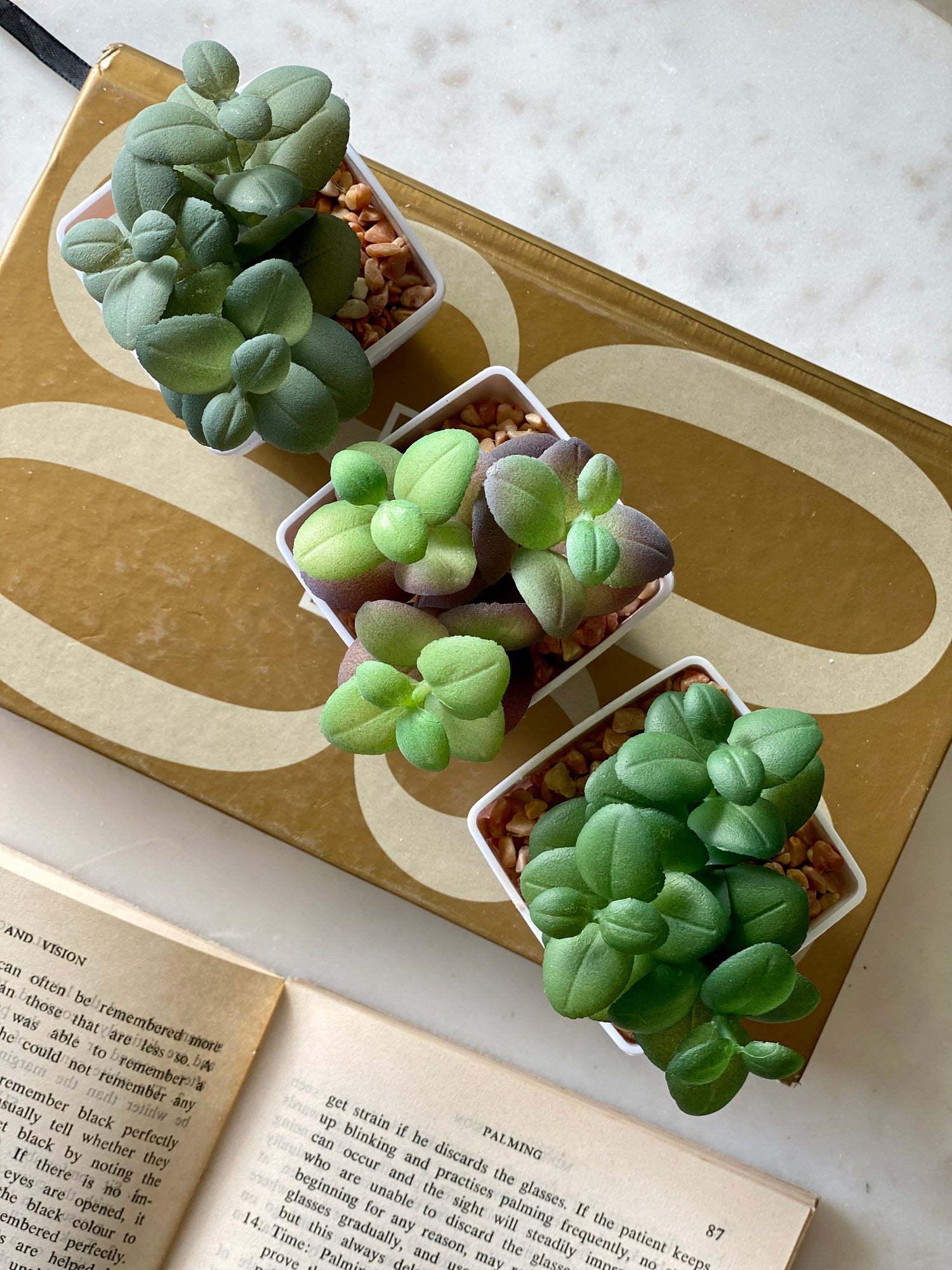 Artificial Emerald Succulent (Set of 3)