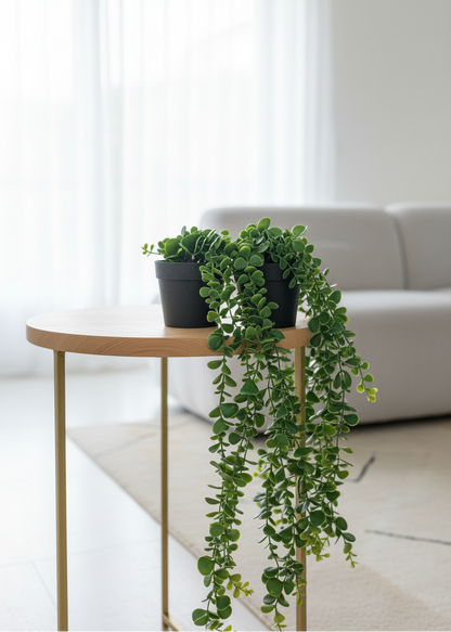 Artificial Climing Fig Succulents - (Set Of 2)