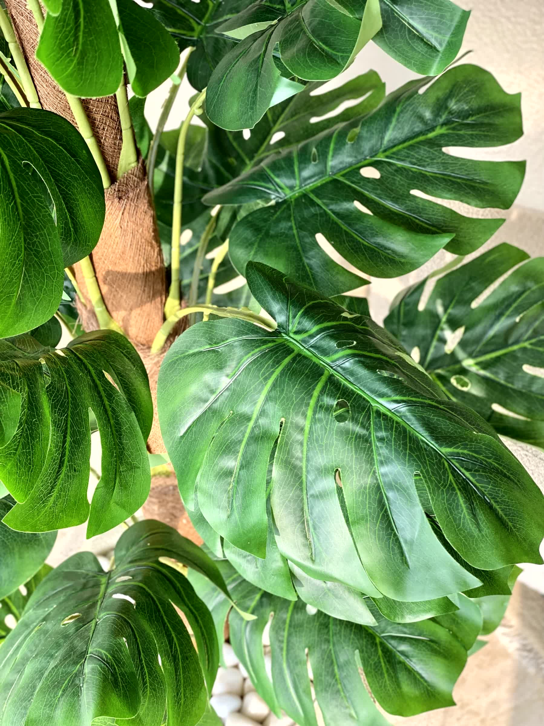 Artificial Monstera Muse Plant - 5 Feet