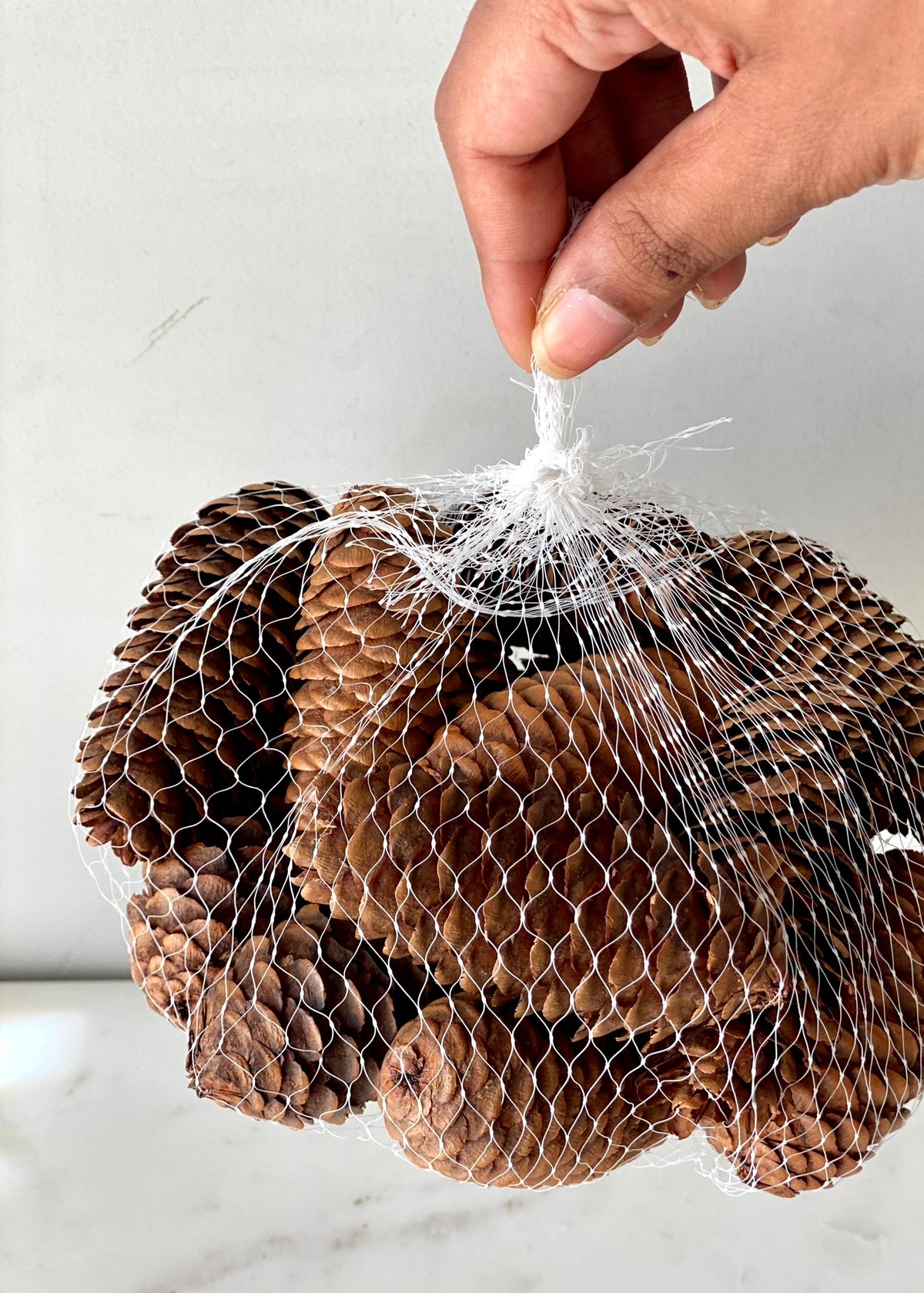 Rustic Pinecones Pack