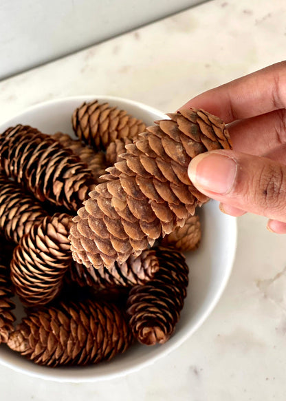 Rustic Pinecones Pack