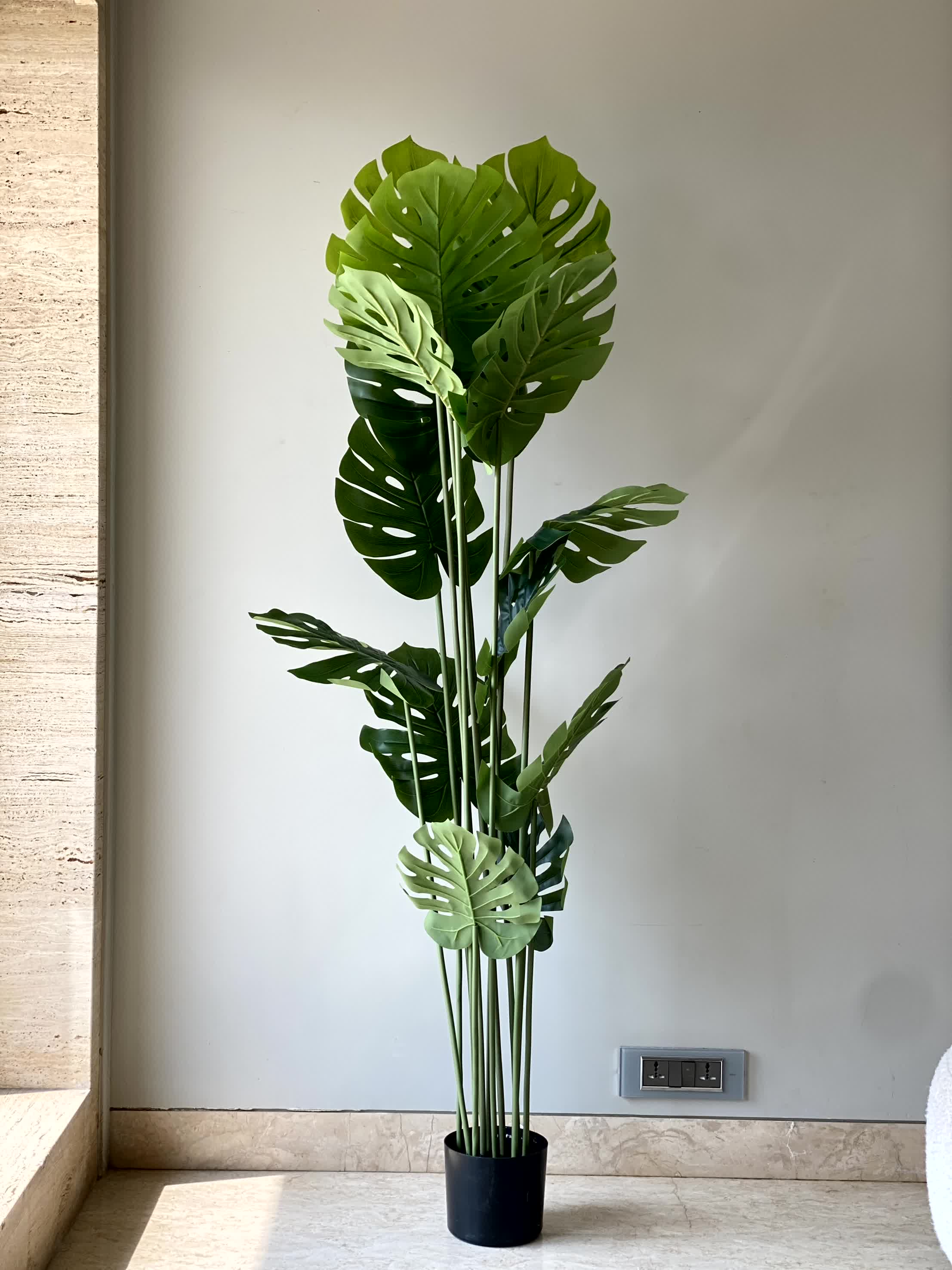 Artificial Monstera Plant - 6 Feet