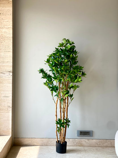 Artificial Tea Leaf Plant - 5 Feet