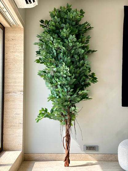 Artificial Natural Trunk Ficus Tree - 7.5 Feet