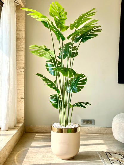 Artificial Monstera Plant - 6 Feet