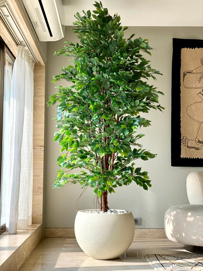 Artificial Natural Trunk Ficus Tree - 7.5 Feet