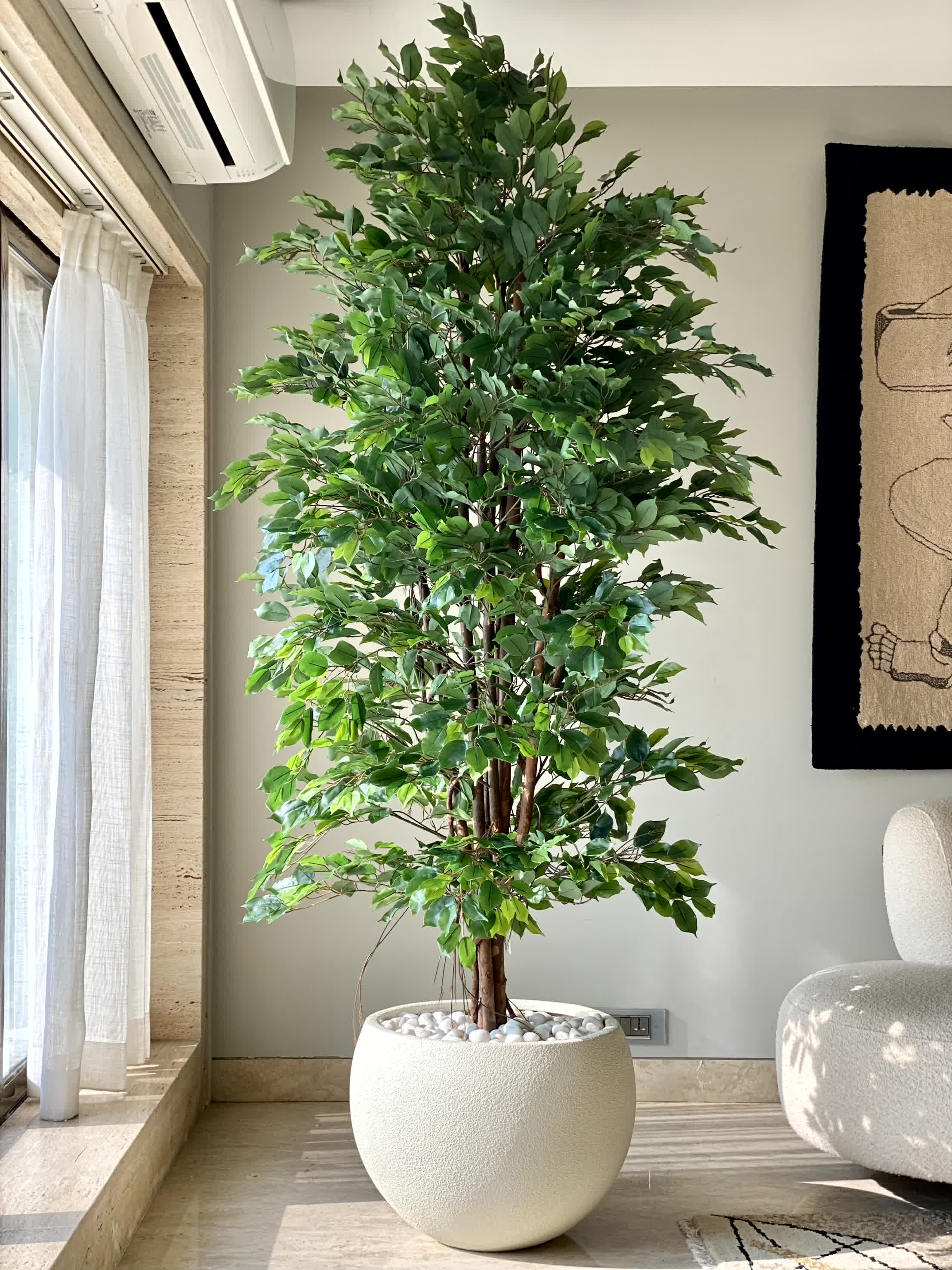 Artificial Natural Trunk Ficus Tree - 7.5 Feet