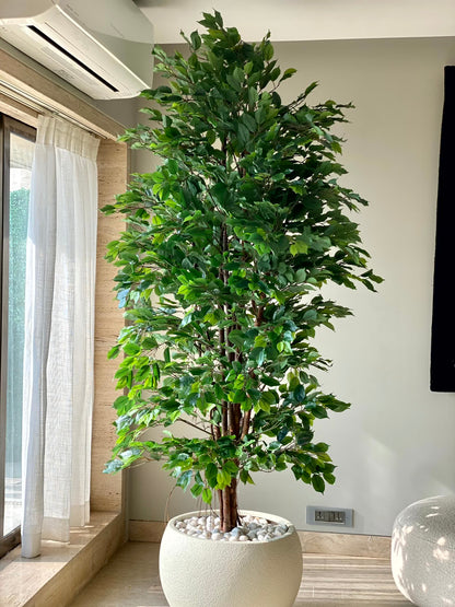 Artificial Natural Trunk Ficus Tree - 7.5 Feet