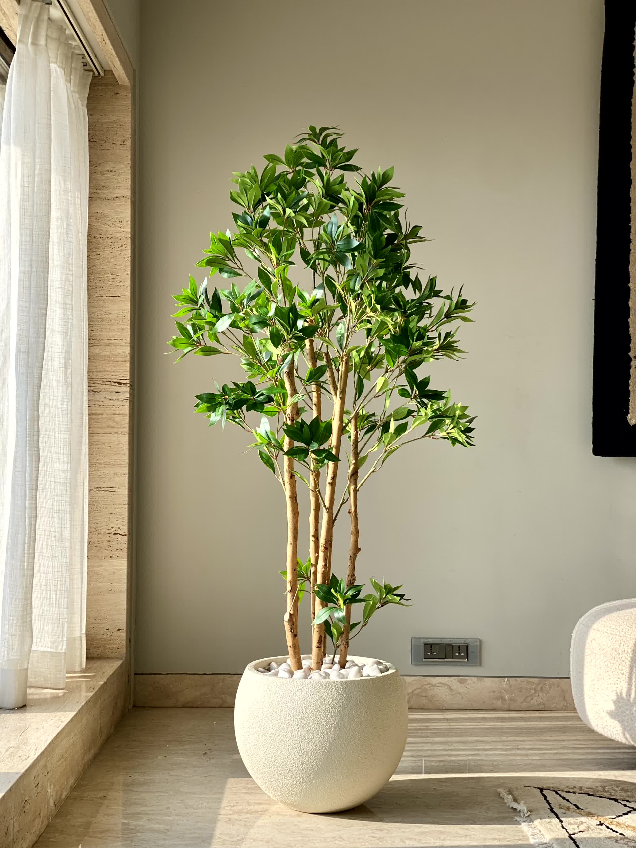 Artificial Tea Leaf Plant - 5 Feet