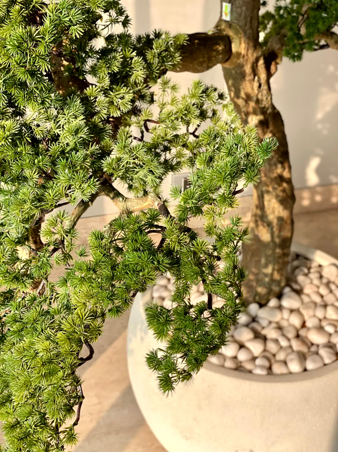 Artificial Zen Bonsai Plant - 5.5 Feet