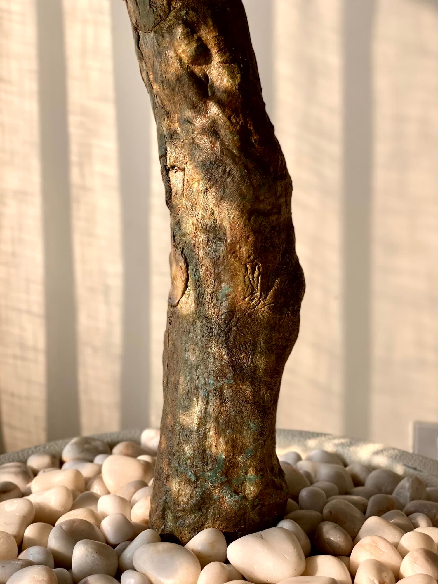 Artificial Zen Bonsai Plant - 5.5 Feet