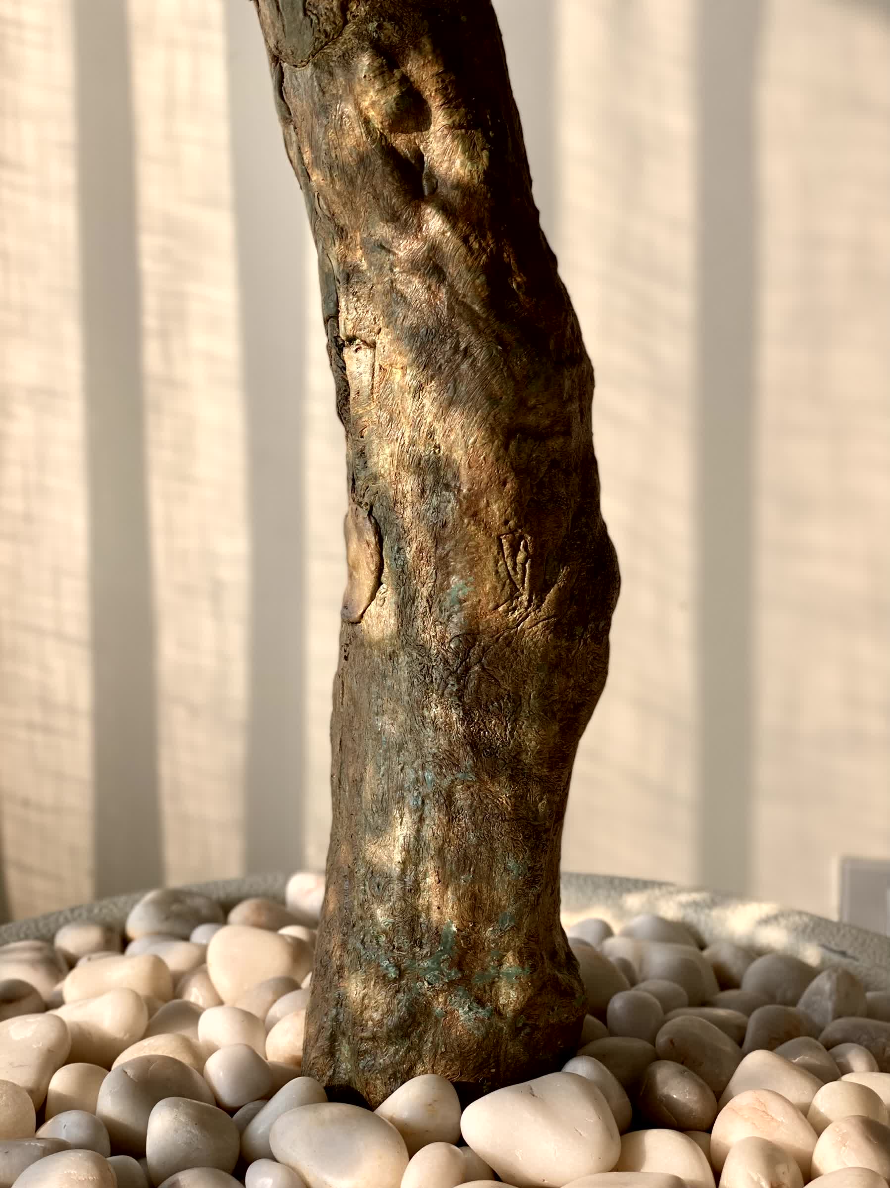 Artificial Zen Bonsai Plant - 5.5 Feet