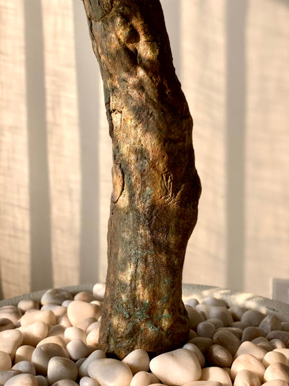 Artificial Zen Bonsai Plant - 5.5 Feet