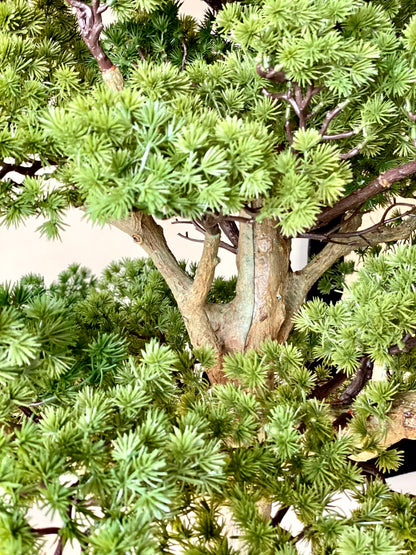 Artificial Zen Bonsai Plant - 5.5 Feet