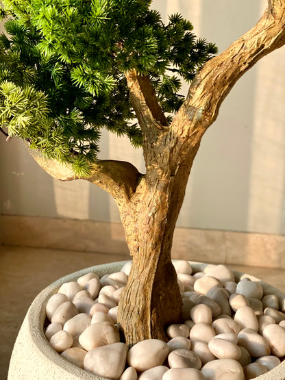 Artificial Zen Bonsai Plant - 3.5 Feet