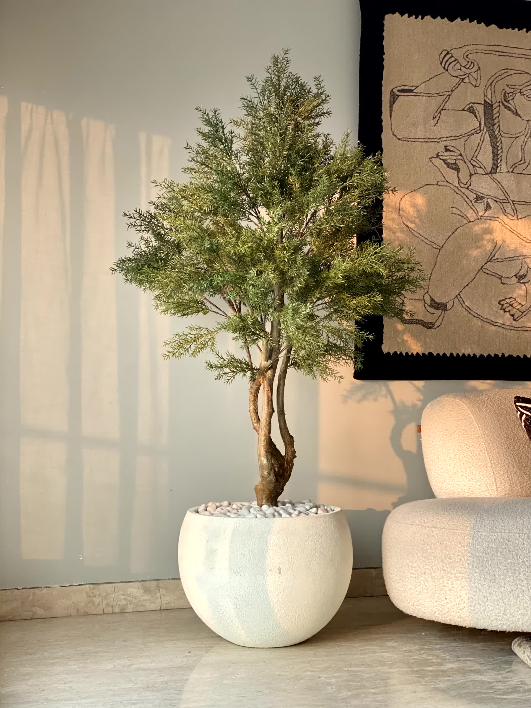 Artificial Australian Cedar Plant - 5.5 Feet