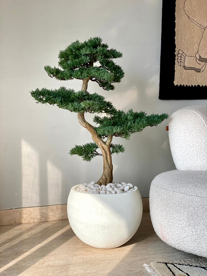 Artificial Cypress Bonsai Plant - 3 Feet