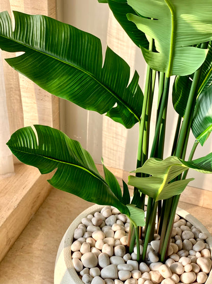 Artificial Coastal Palm Plant - 7 Feet