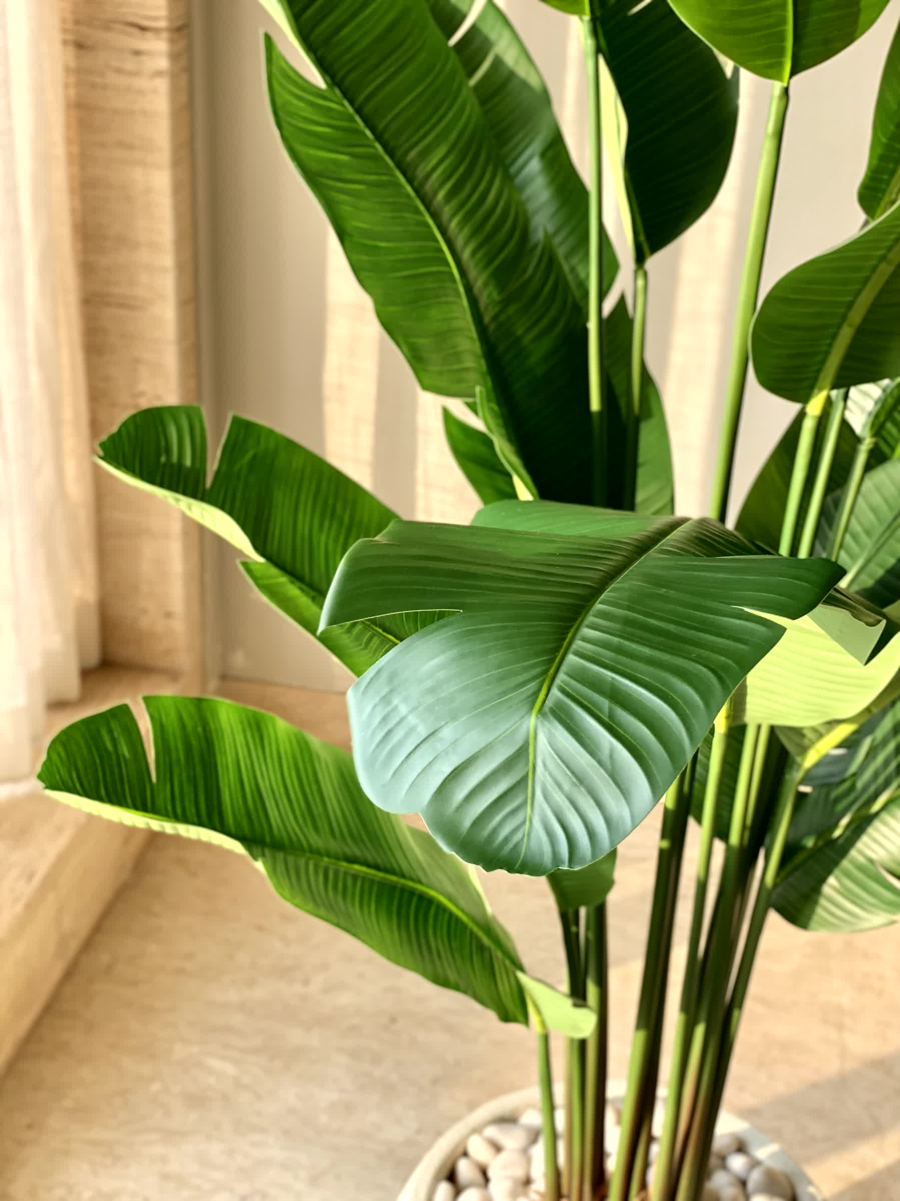 Artificial Coastal Palm Plant - 6 Feet