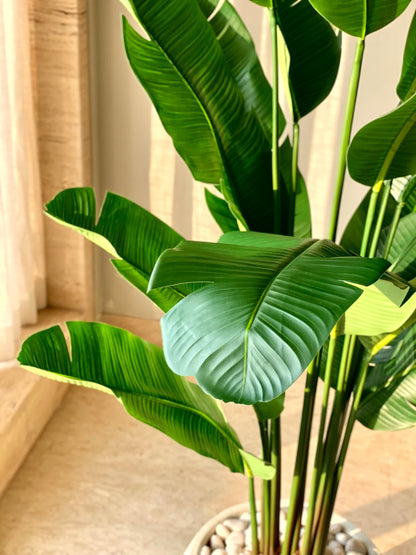 Artificial Coastal Palm Plant - 6 Feet