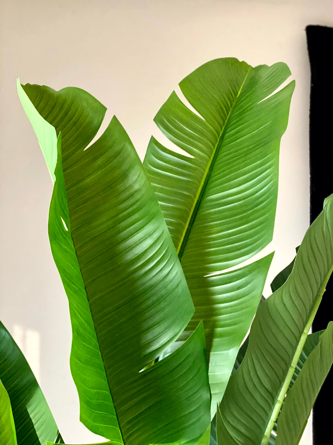 Artificial Coastal Palm Plant - 6 Feet