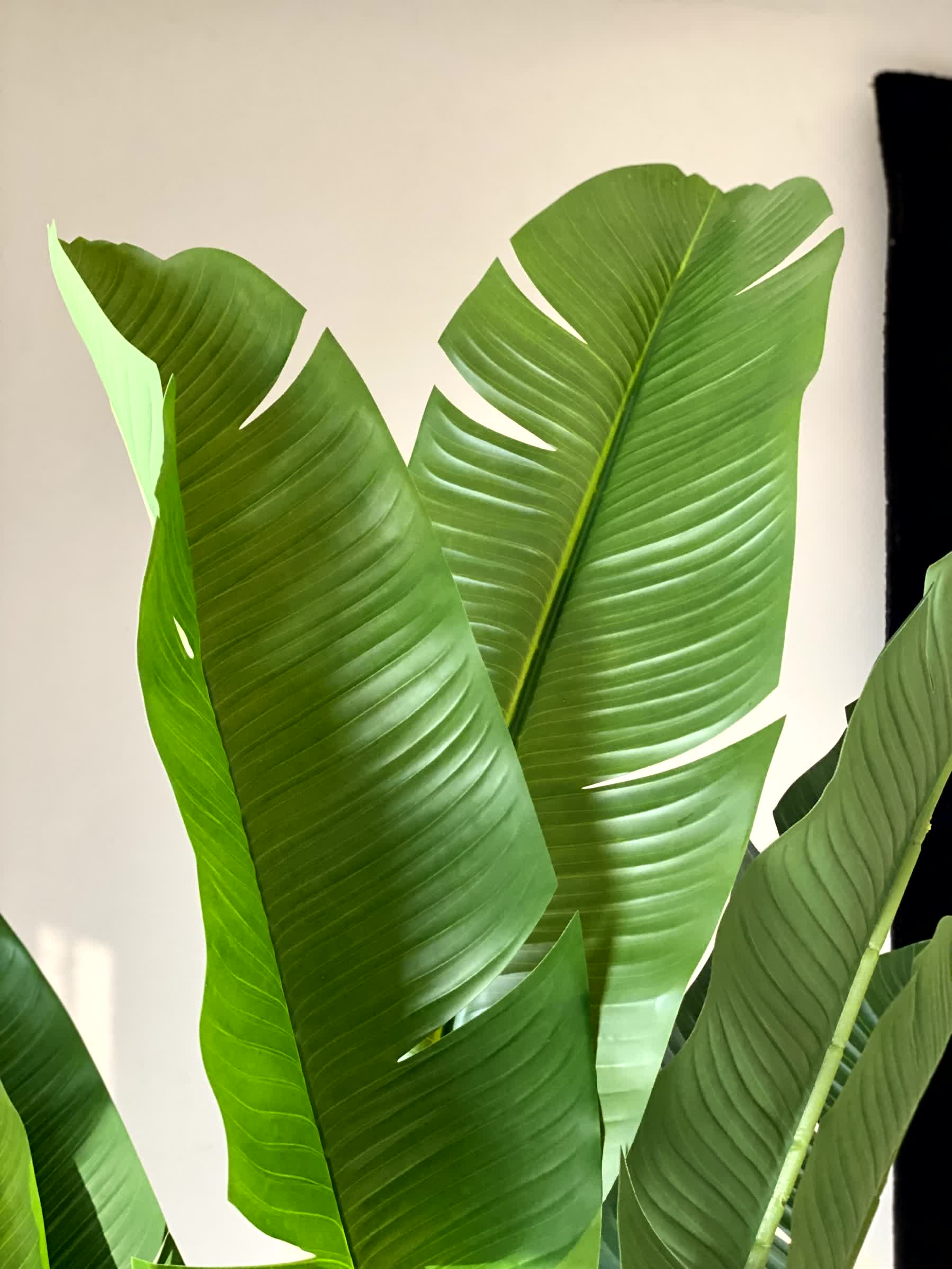 Artificial Coastal Palm Plant - 6 Feet