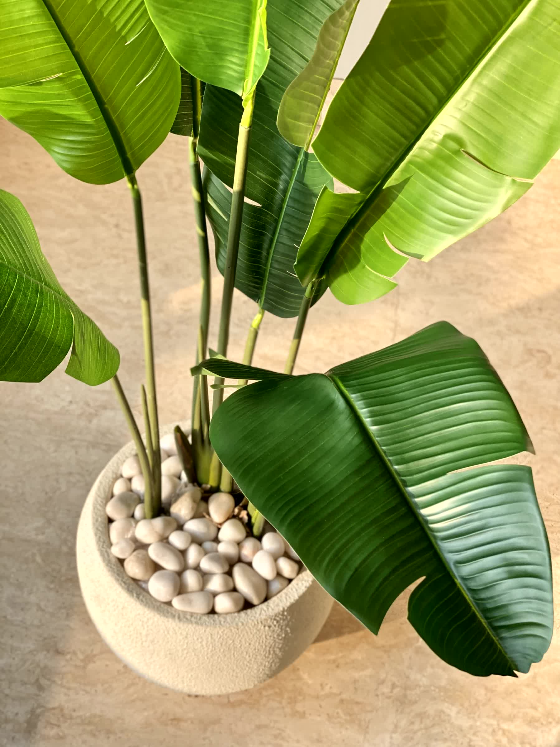 Artificial Coastal Palm Plant - 4 Feet