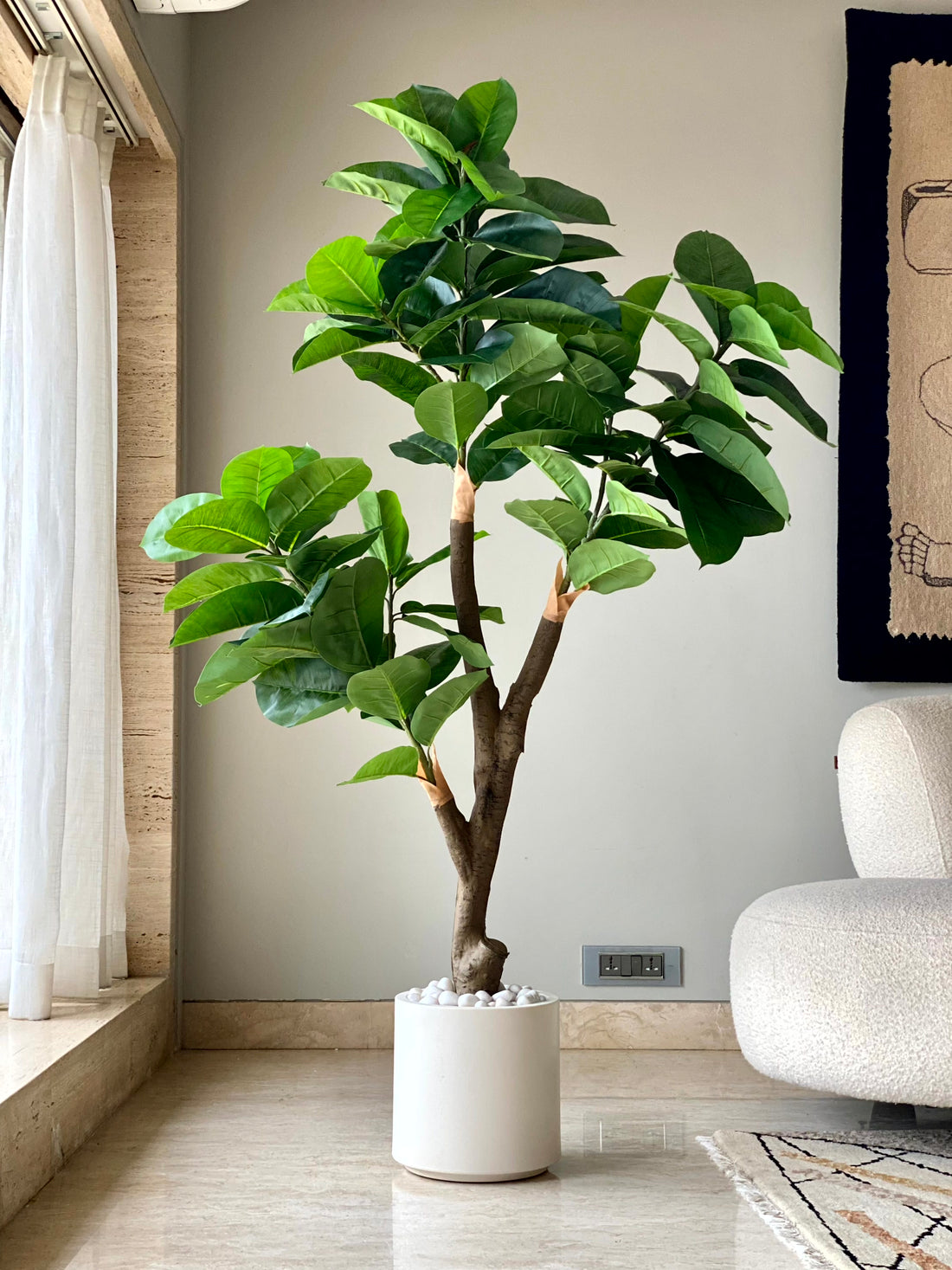 Artificial Green Rubber Plant - 5.5 Feet