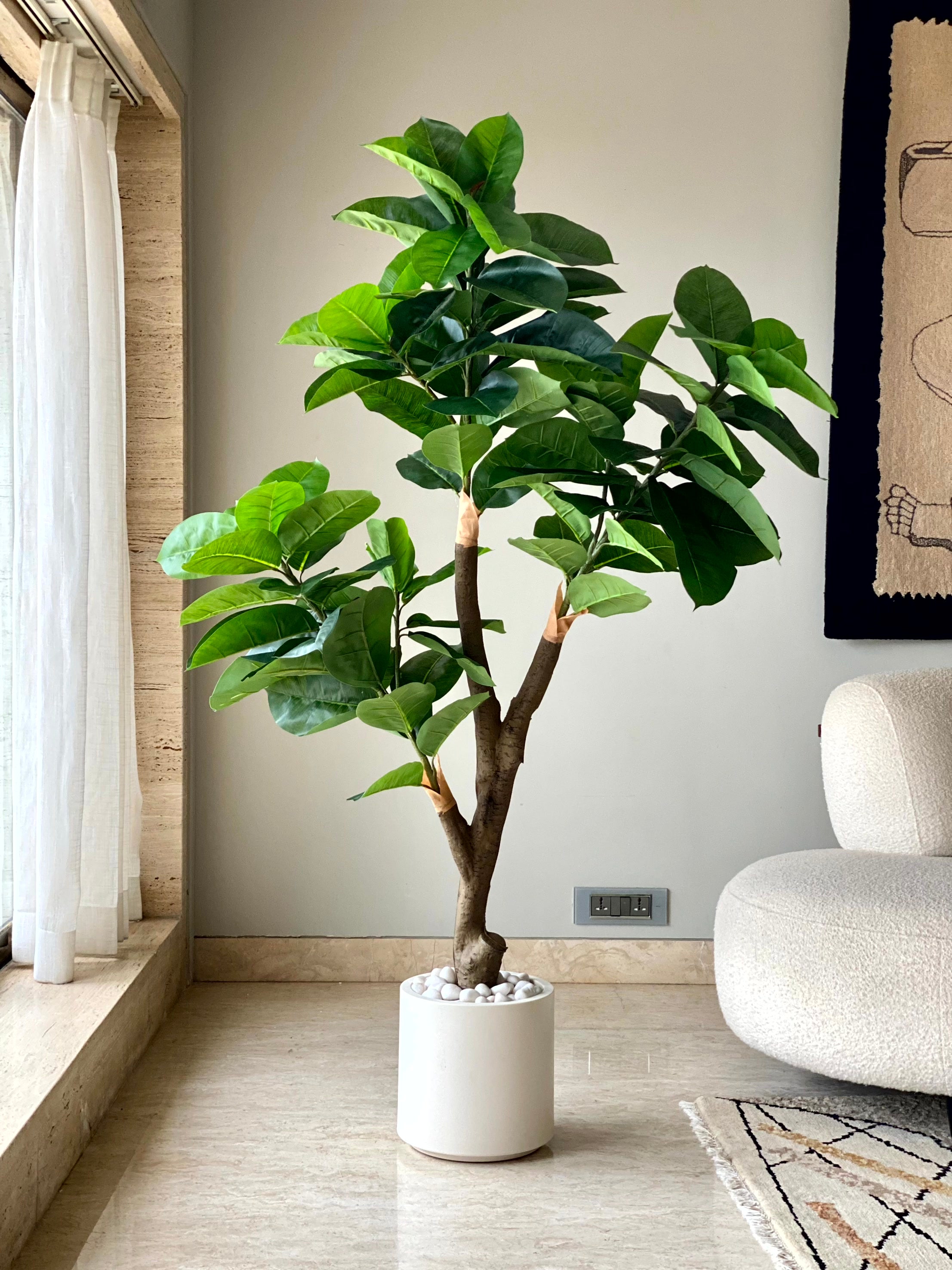 Artificial Green Rubber Plant - 5.5 Feet