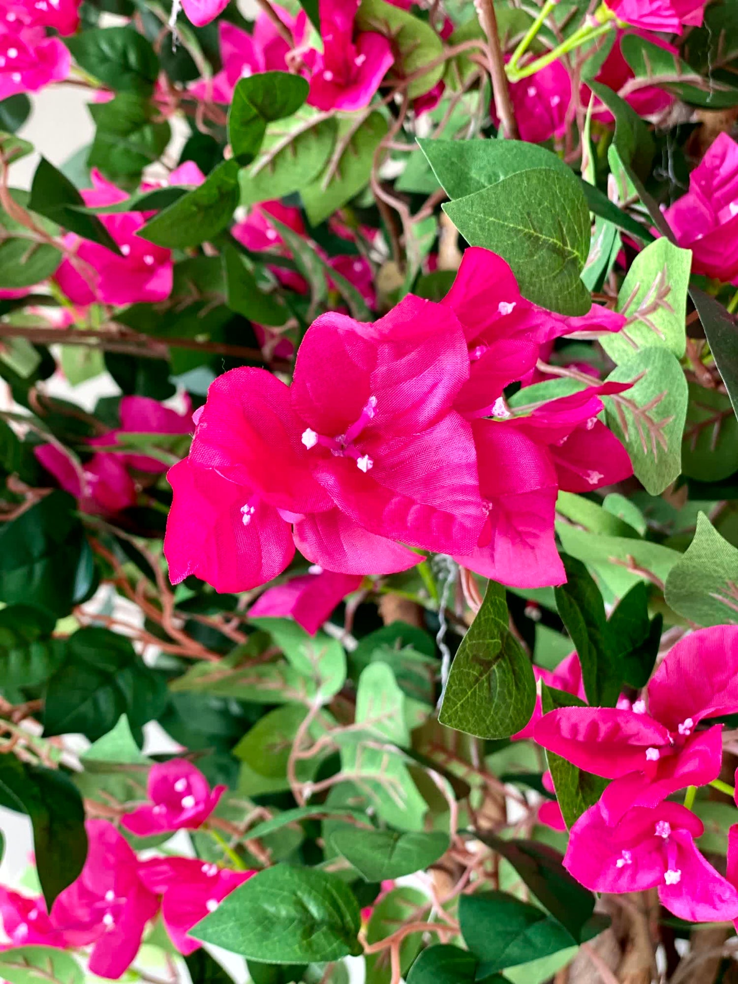 Artificial Bougainvillea Bloom Plant - 6 Feet