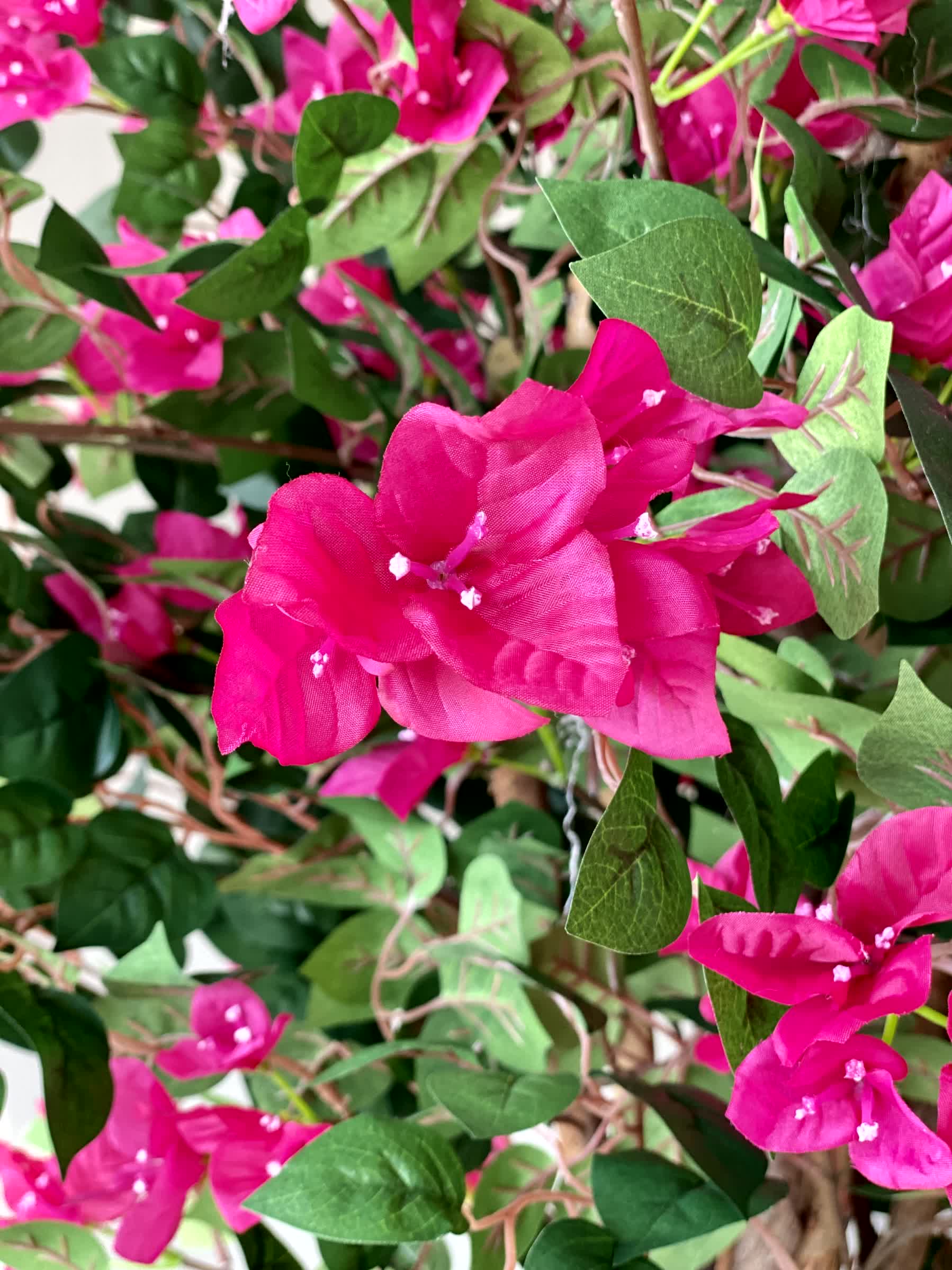 Artificial Bougainvillea Bloom Plant - 6 Feet