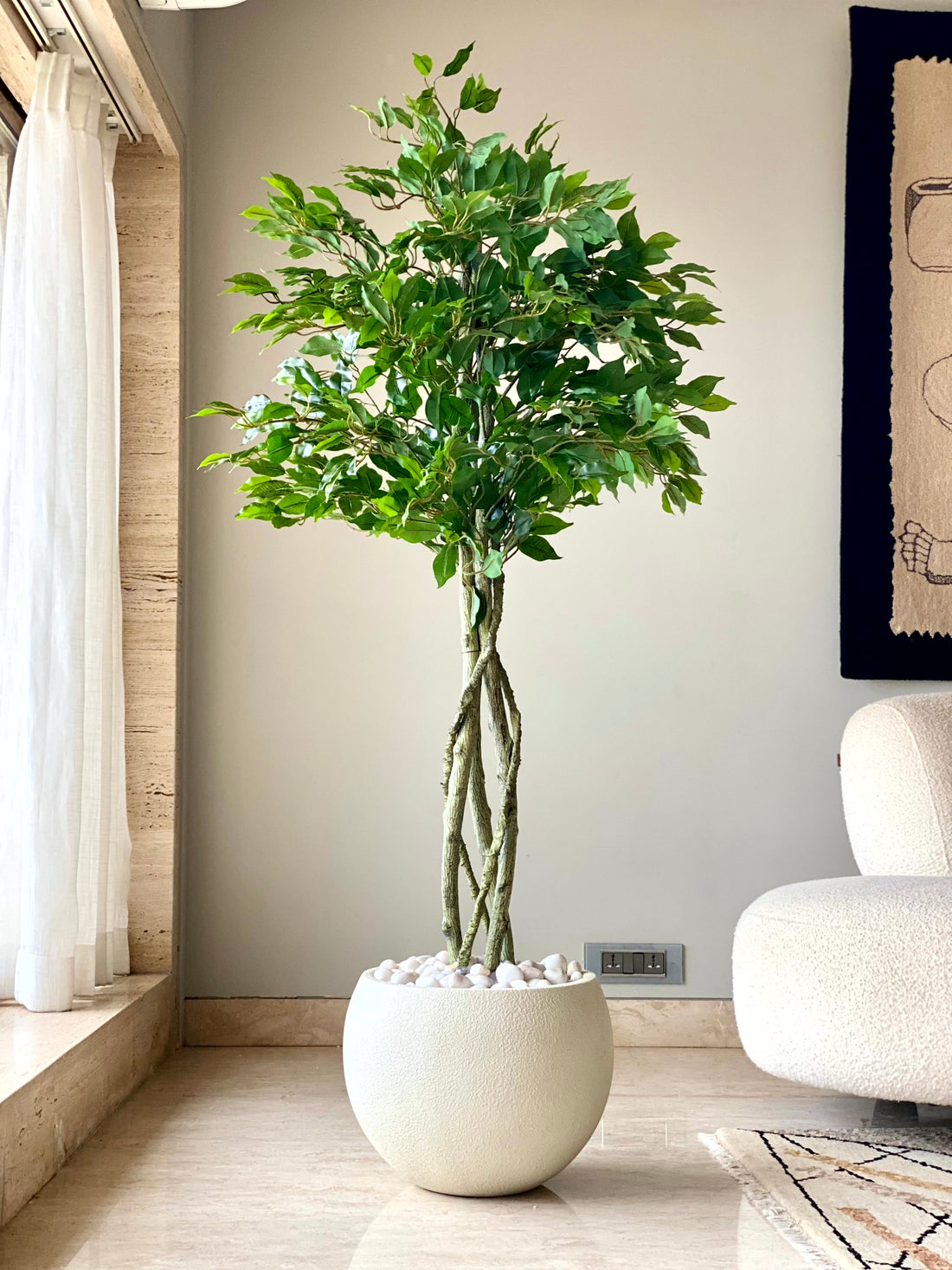 Artificial Green Ficus - 5.5 Feet