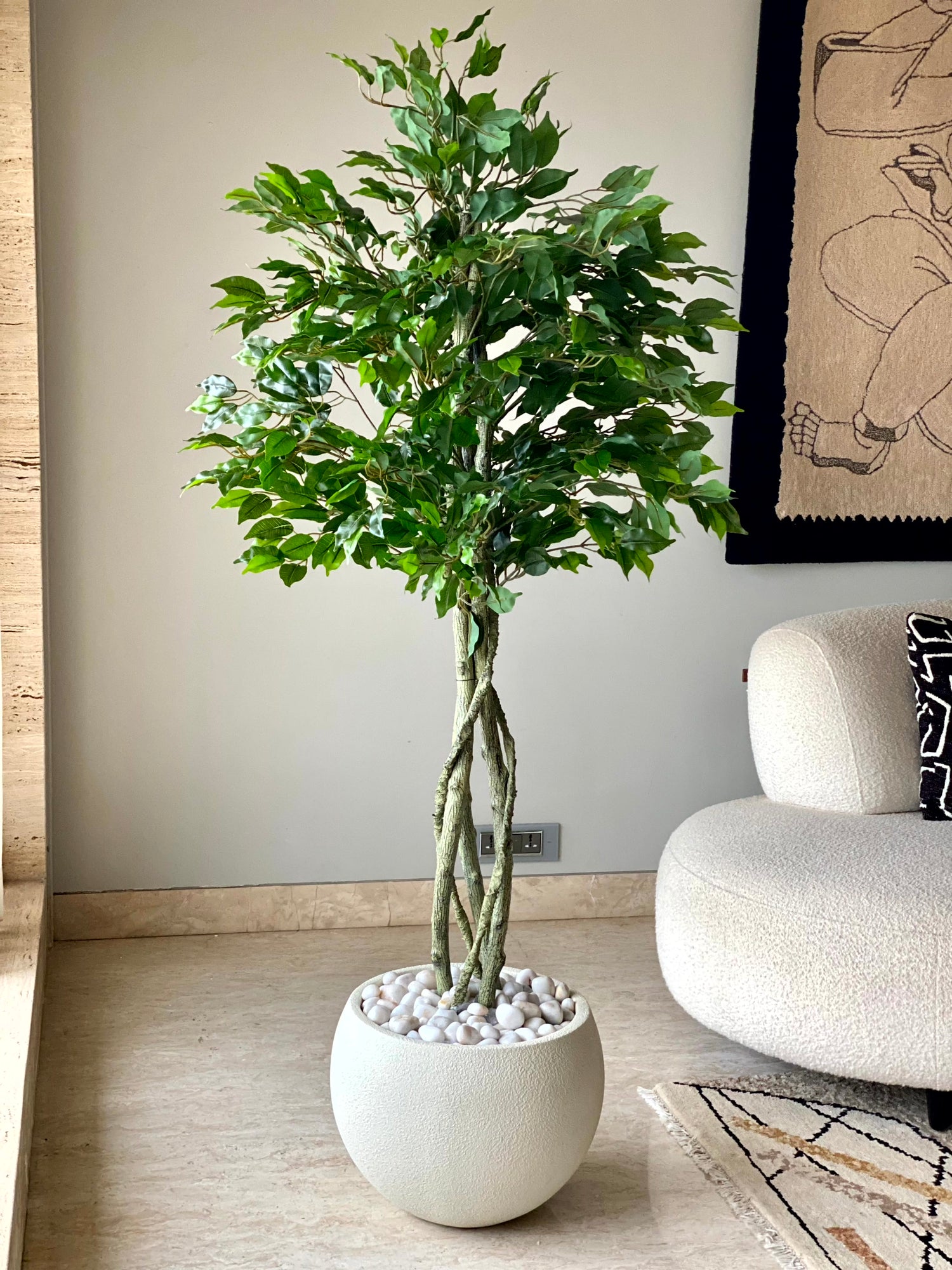 Artificial Green Ficus - 5.5 Feet