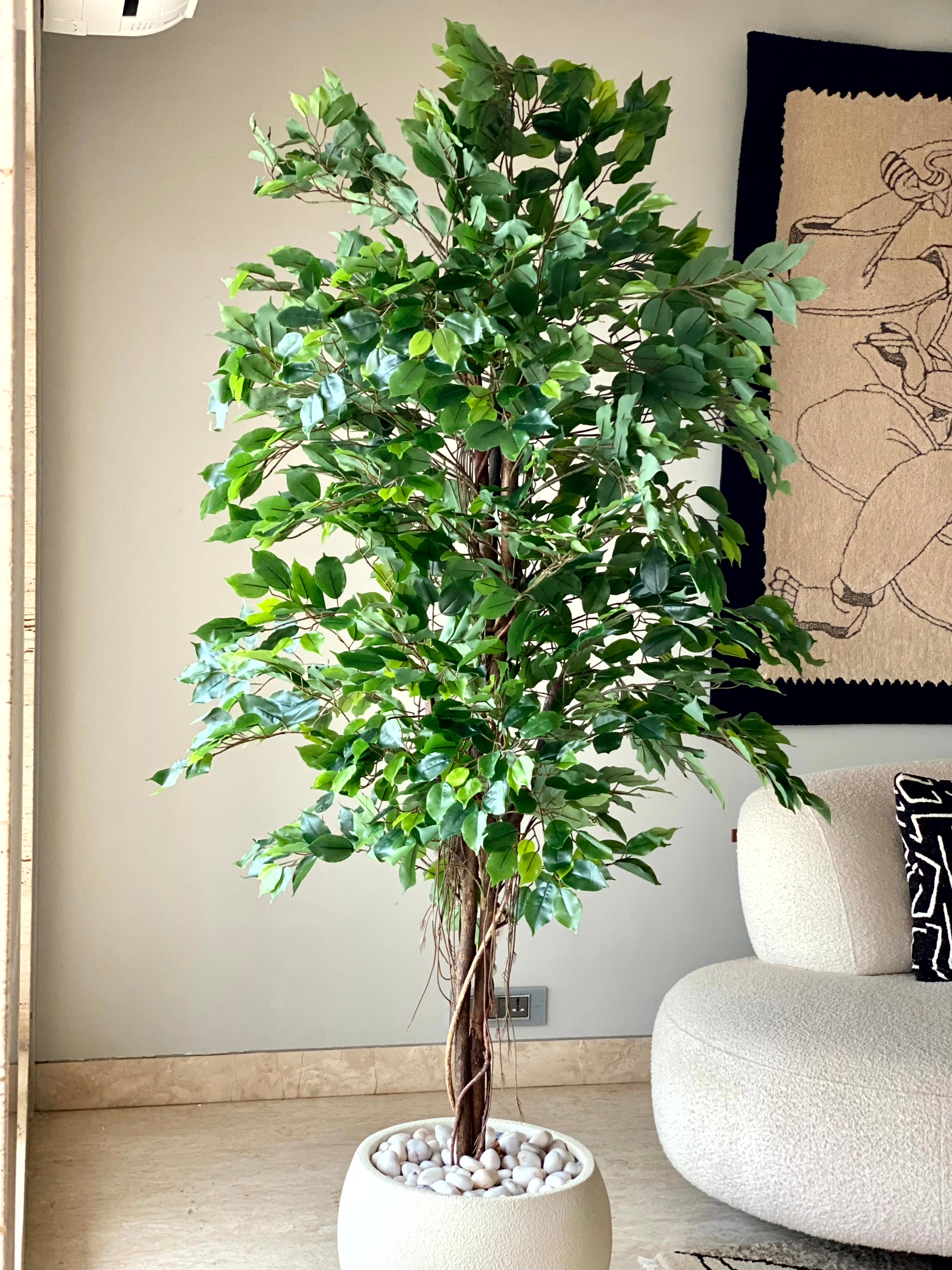 Artificial Natural Trunk Ficus Tree - 6.5 Feet