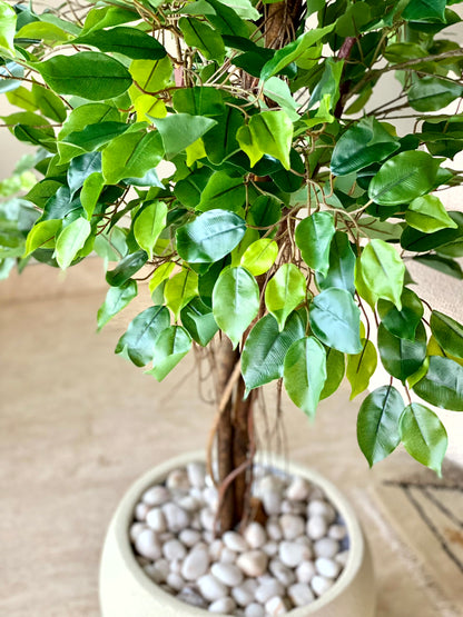 Artificial Natural Trunk Ficus Tree - 6.5 Feet