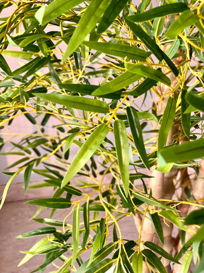 Artificial Tropical Bamboo Plant - 5 Feet