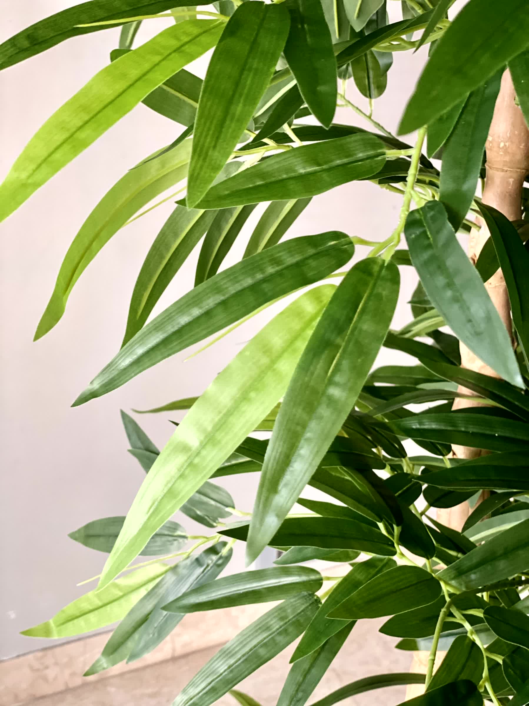 Artificial Timber Bamboo Plant - 6 Feet