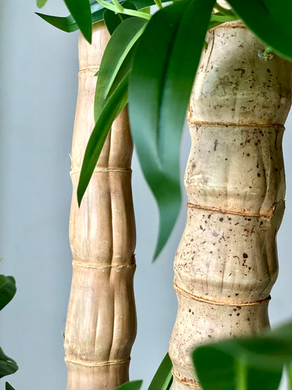 Artificial Timber Bamboo Plant - 6 Feet