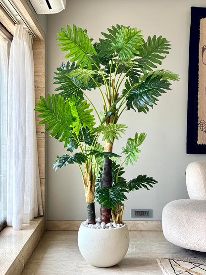 Artificial Monstera Fiber Trunk Tree - 6 Feet