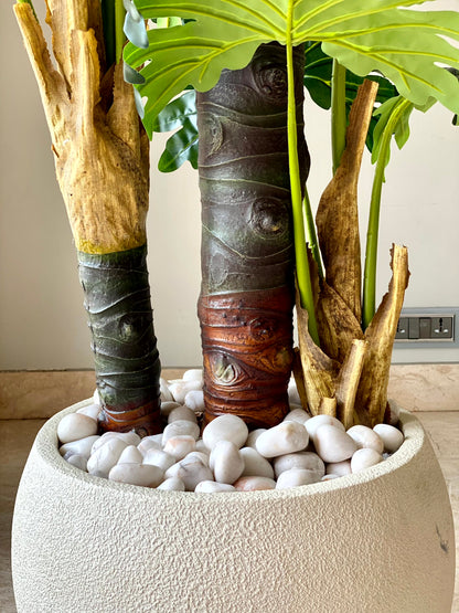 Artificial Monstera Fiber Trunk Tree - 6 Feet